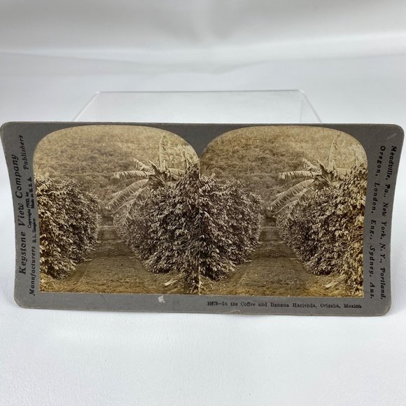 Antique 1900 Stereoview Photo Card Coffee Banana Hacienda Orizaba Mexico Keyston - Picture 2 of 8
